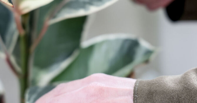 Why the WHI Study Shouldn’t Scare You Anymore: Updating the Conversation on Hormone Therapy