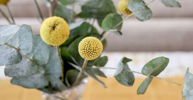 Teen Health/Young Adult