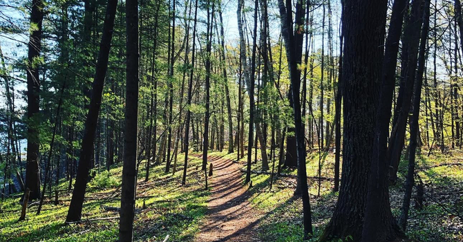 Hormone Therapy Isn’t a Yes or No Question: Why Shared Decision-Making Matters in Midlife Care